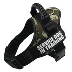 Dog Collar For Husky Shepherd
