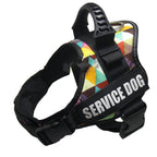 Dog Collar For Husky Shepherd