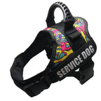 Dog Collar For Husky Shepherd
