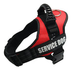 Dog Collar For Husky Shepherd