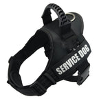 Dog Collar For Husky Shepherd