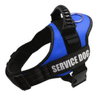 Dog Collar For Husky Shepherd