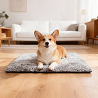 Plug-in Required Thermostatic Mat For Cats And Dogs
